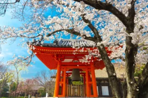 Liburan ke Jepang? Ini Rekomendasi Tempat Wisata Terbaiknya!