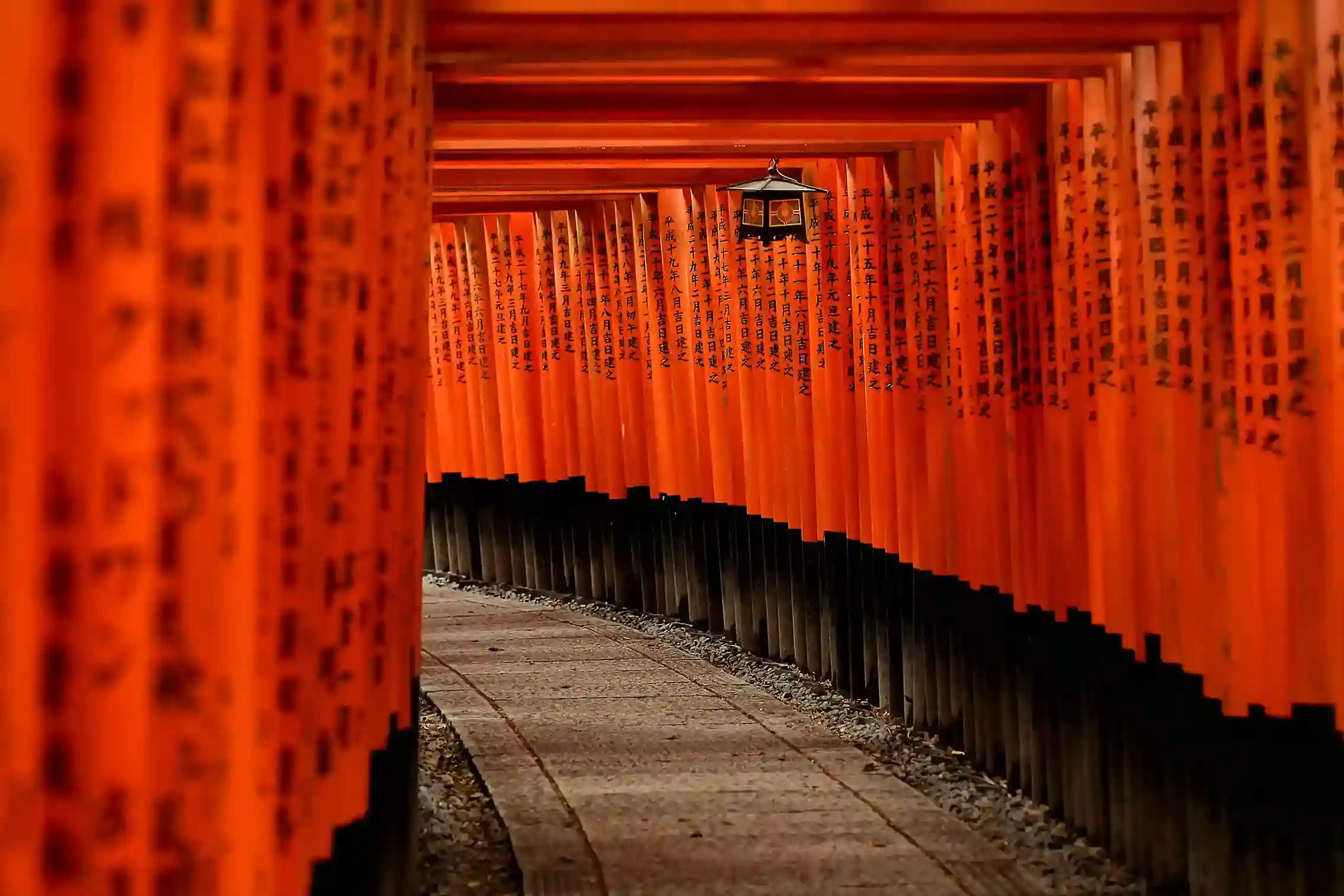 7d japan- torii fushimi-adytamatour