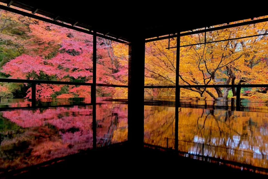 Kapan Waktu Terbaik ke Jepang_ Ini Musim Terindah & Tips Wisata!