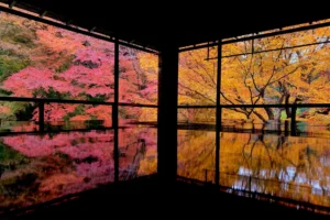 Kapan Waktu Terbaik ke Jepang_ Ini Musim Terindah & Tips Wisata!