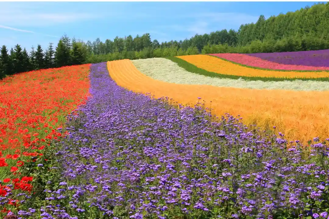 4D3N BANGKOK KHAOYAI (BEST SELLER)