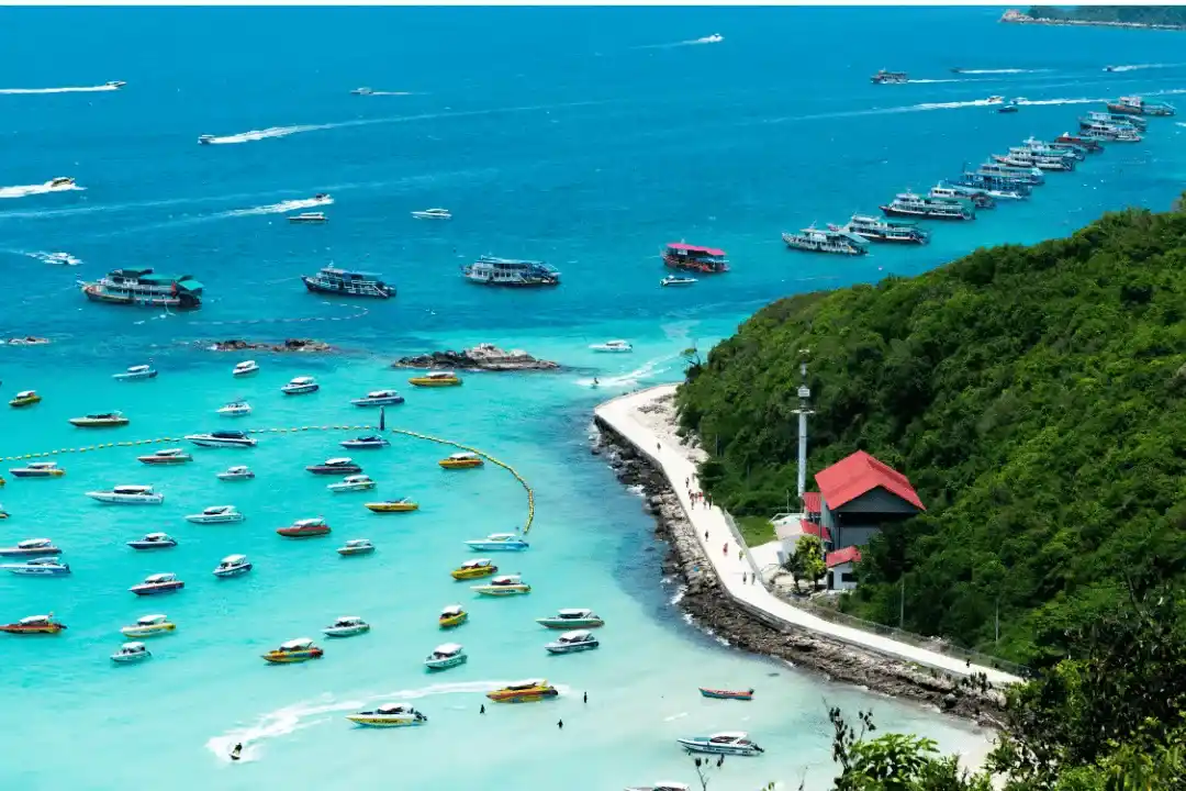 PATTAYA CORAL ISLAND