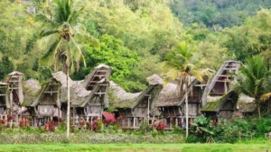 Hidden Gem di Sulawesi