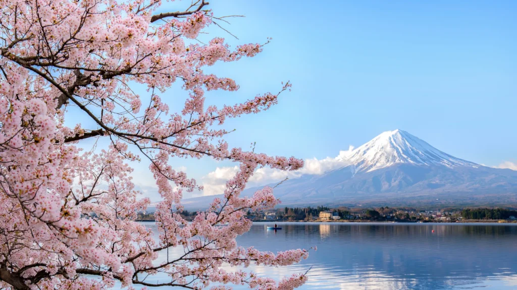Liburan ke Jepang Musim Apa Paling Seru Ini Jawabannya
