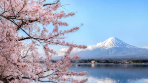 Liburan ke Jepang Musim Apa Paling Seru Ini Jawabannya