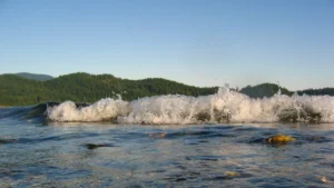 tsunami jepang