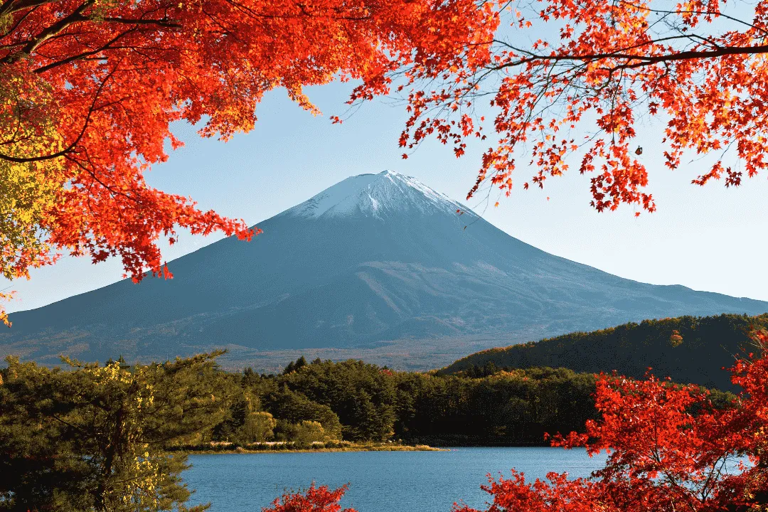 7D WINTER SCHOOL HOLIDAY JAPAN + SHIRAKAWAGO WITH DISNEY LAND (MT Fuji) - Tour Jepang by Adyatamatour_