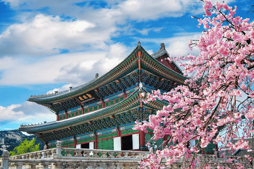 Wisata Halal Korea bareng Adyatamatour.co.id