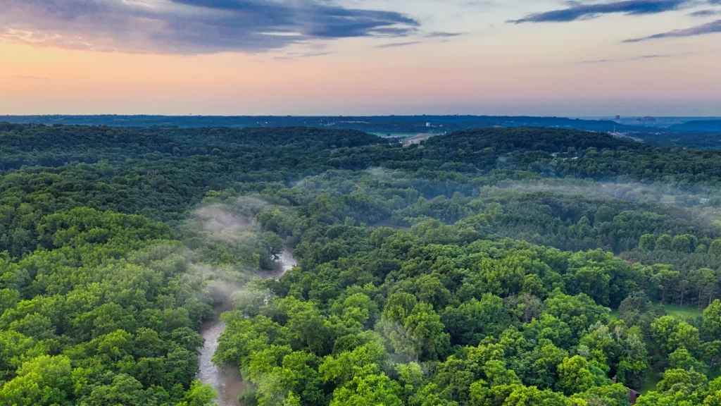 7 Wisata Hutan Terbaik di Dunia dengan Alam yang Masih Asri dan Terjaga