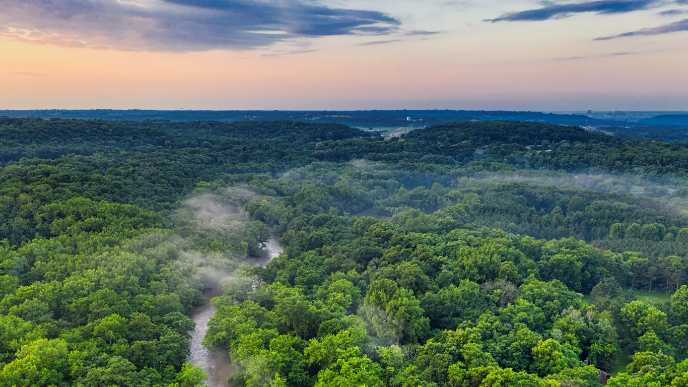 7 Wisata Hutan Terbaik di Dunia dengan Alam yang Masih Asri dan Terjaga